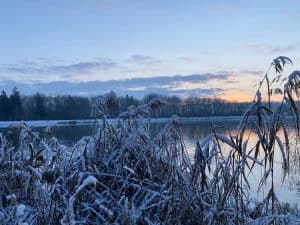 Kuhsee Augsburg bei Sonnenaufgang